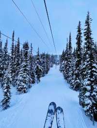 Whistler skiing 🎿