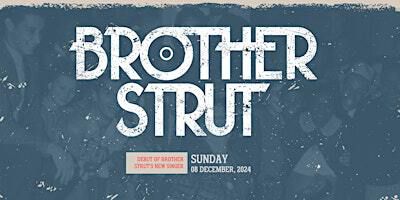 BROTHER STRUT - Live, The Purple Turtle - READING (Early Show 4pm) | The Purple Turtle