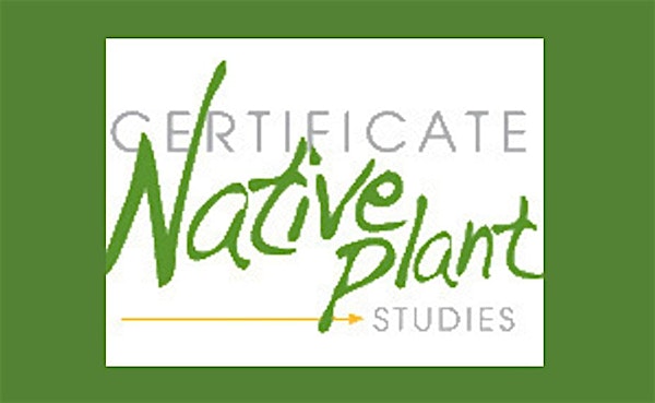 Sustainable Landscaping: SC Native Plant Certificate Core Class 6.28.25 | South Carolina Botanical Garden