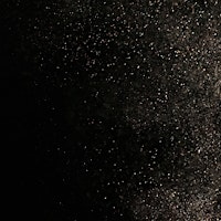 American Theatre Arts Year 2: Katzenmusik | Rose Bruford College