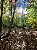 Walking Meditation, Forest Bathing + Outside Yoga - Highwoods, Colchester | High Woods Country Park