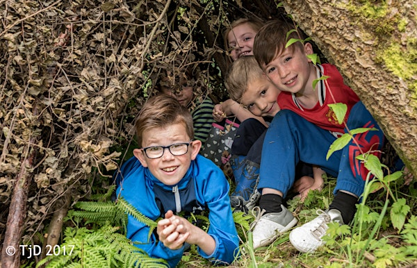 Woodland Survival at The Hive - Thursday 31st July 2025 | The Hive at Moss Bank Park