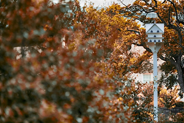 Seed Collecting in the Fall Garden Workshop | Nemours Estate