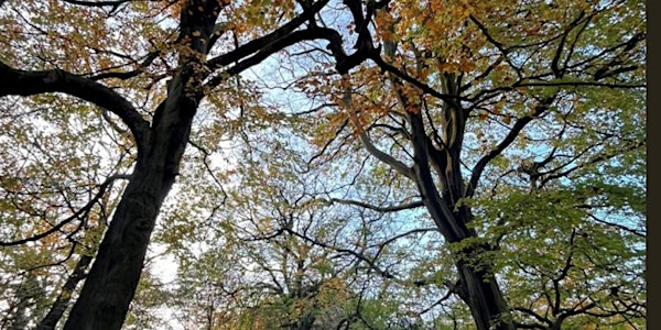 Remember Run | Birkenhead Park