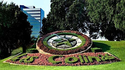 Third Wednesday Las Colinas Professionals Networking | Cielito Mexican Flavors