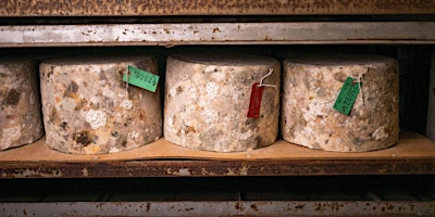 Quicke's Cheese Tour 19th June | Quicke's Farm