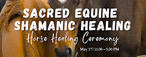 Sacred Equine Shamanic Healing - Horse Healing Ceremony | 5674 Fifth Line