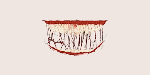 The Psychology of Horror Movies: How horror speaks to the subconscious | Parabola Arts Centre