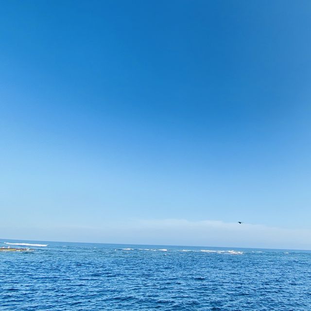 房総半島の絶景スポット！原岡桟橋