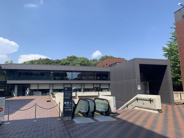 【東京】東京都美術館で芸術鑑賞しよう