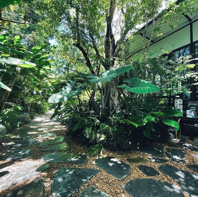  รีวิวคาเฟ่ : Foreste Café #คาเฟ่ย่านปากเกร็ด 