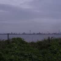 【千葉・木更津】江川海岸潮干狩場