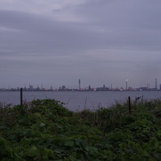 【千葉・木更津】江川海岸潮干狩場 【千葉・木更津】江川海岸潮干狩場
