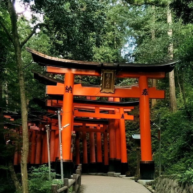 Serene and historic Kyoto