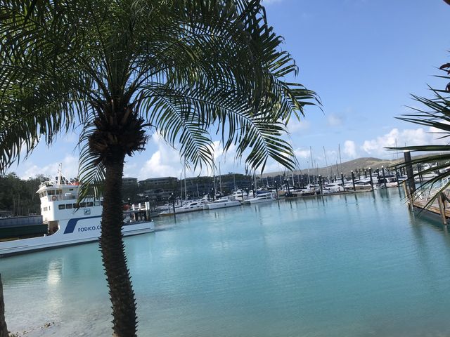 オーストラリア🏝ハミルトン島②