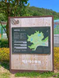 부산 봄나들이 가기 좋은 해운대 수목원 🌿