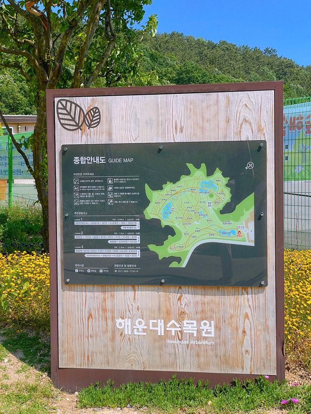 부산 봄나들이 가기 좋은 해운대 수목원 🌿
