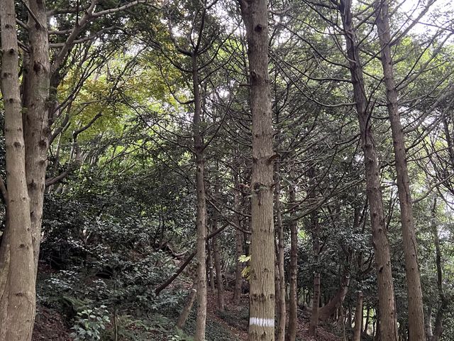 목포 관음사 목포 관음사