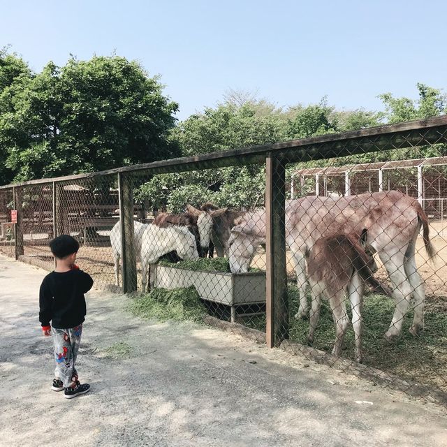 南台灣最大的野生動物園