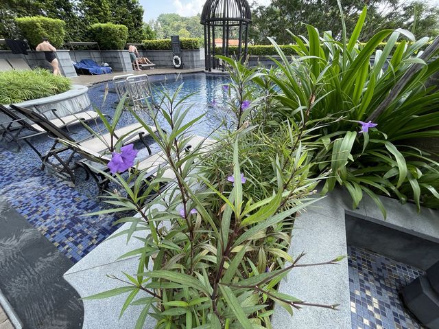 Garden in a hotel