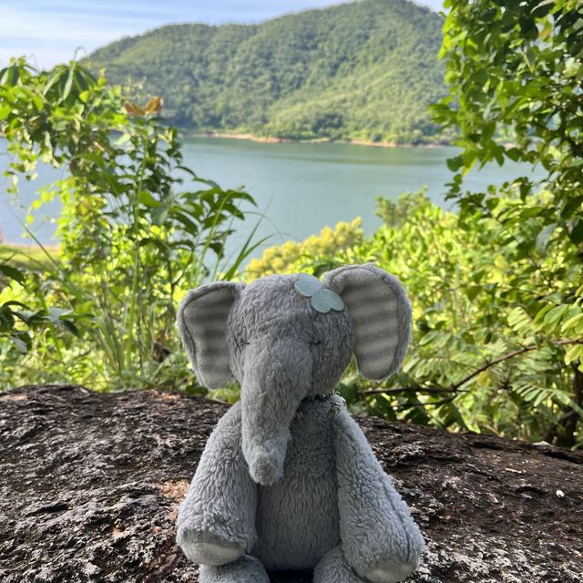 Miss Elly hanging out at Manik Dam Phuket.