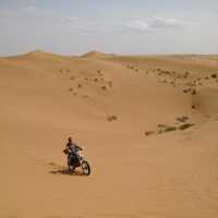 The Tengger Desert 