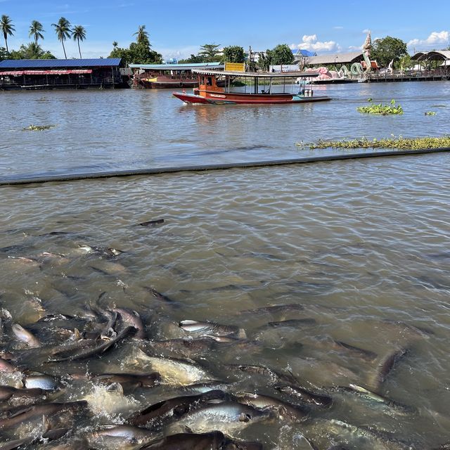 เที่ยววัดดังจ.นครปฐม วัดไร่ขิง  🪷🐟