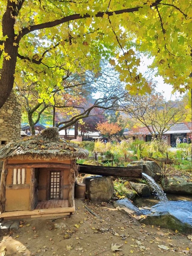 남이섬 단풍여행📸 | 트립닷컴 춘천 남이섬 단풍여행📸 | 트립닷컴 춘천 
