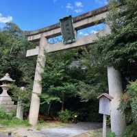 【京都】京都三名水を味わえ四季の花が楽しめる