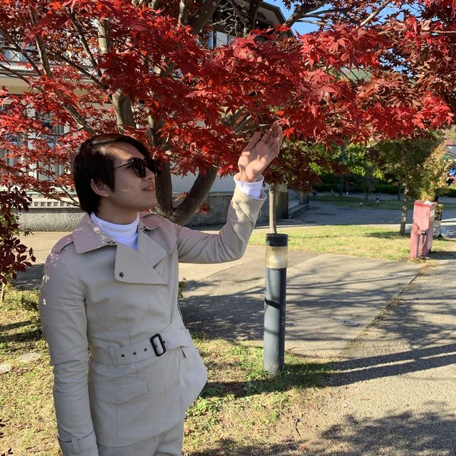 ทะเลสาบ คา~วา~กุ~จิ~โก๊ะ ญี่ปุ่น 🇯🇵