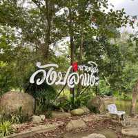 วังปลาเเงะ พรมคีรี 
