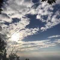 假日好去處/大坑四號步道