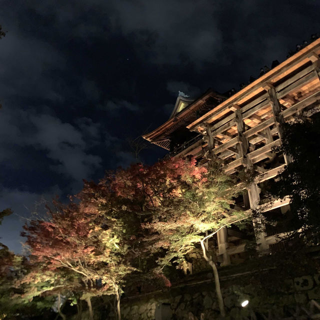 京都紅葉2022  清水寺のライトアップに圧倒される！