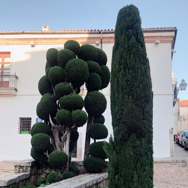 Romantic Cordoba 