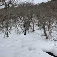 한라산에 눈이 얼마나 쌓였는지 궁금하시죠?☃️🙂