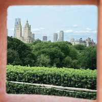 The Metropolitan Museum of Art, New York