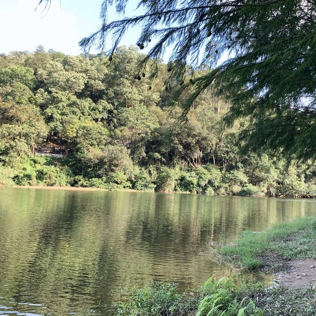 港版輕井澤-流水響水塘🏞