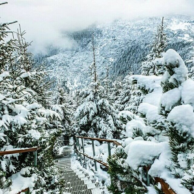 Winter wonderland in Romania