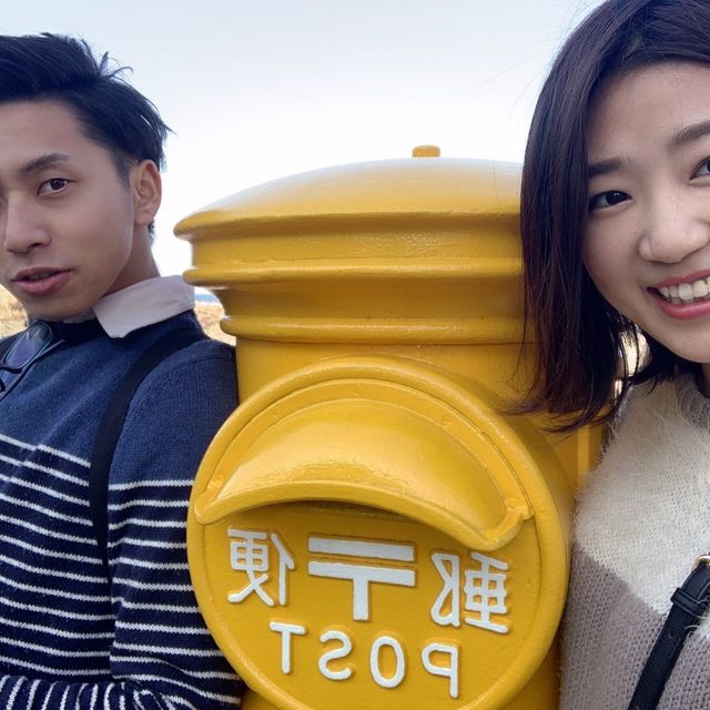 青島神社に行ってきた！🙋‍♀️🙋‍♂️