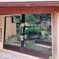 ゴリラのおうち　京都市動物園
