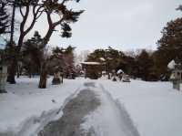浪漫雪景下的網走神社⛩️⛩️｜北海道