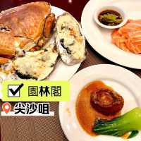 [園林閣咖啡室] - 環境服務食物都👍