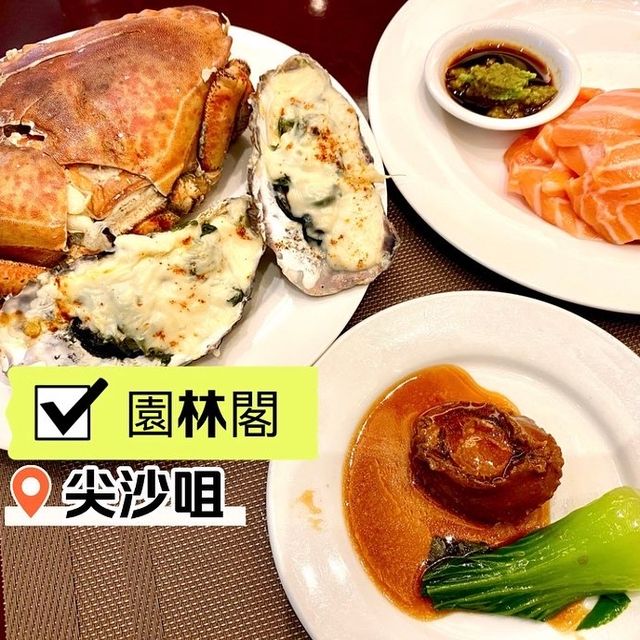 [園林閣咖啡室] - 環境服務食物都👍