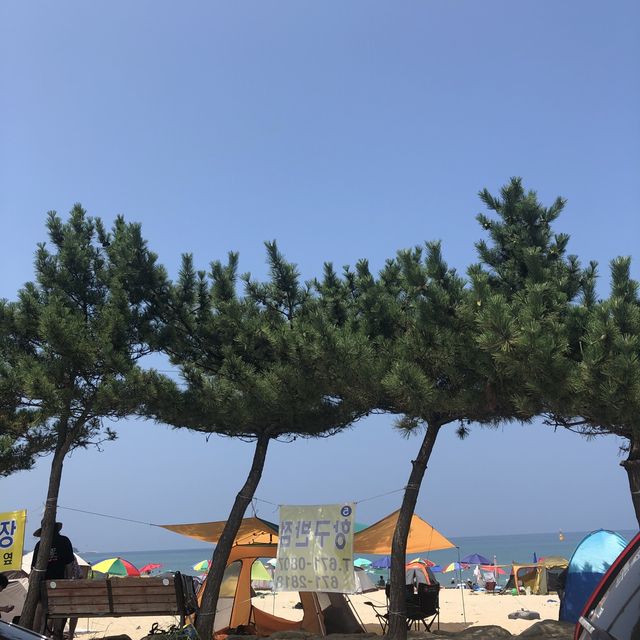 양양 남애항에서 즐긴 물놀이🌊 그리고 횟집 추천!
