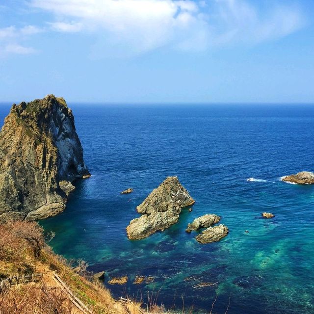 【北海道 積丹】カムイのシャコタンブギブルー