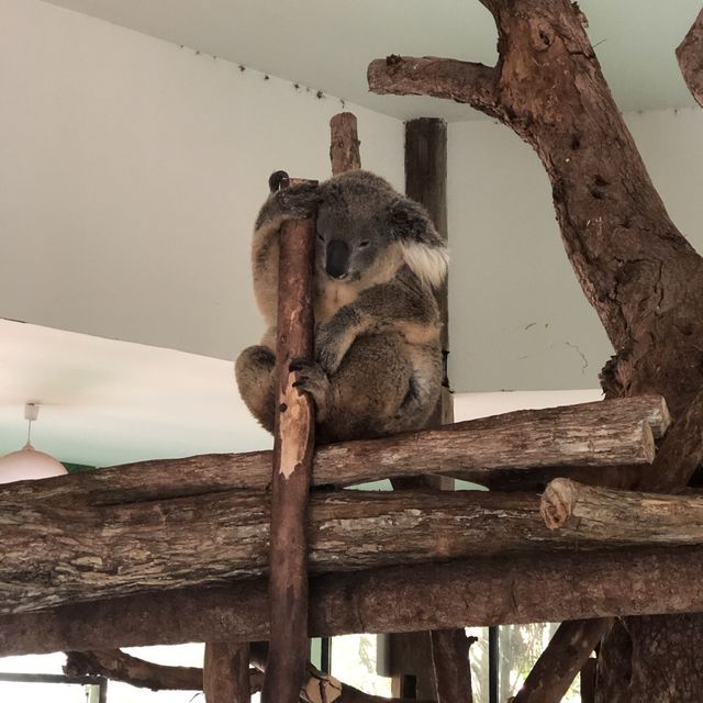 เขาเขียว