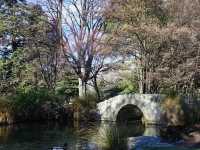 The Queenstown Gardens 