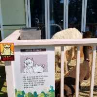우영우가 데이트했던 고래카페, 김포 수산공원