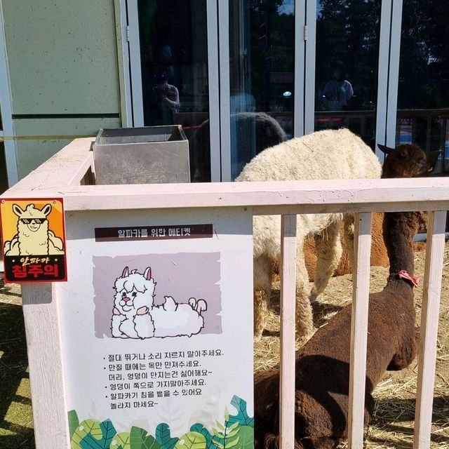 우영우가 데이트했던 고래카페, 김포 수산공원
