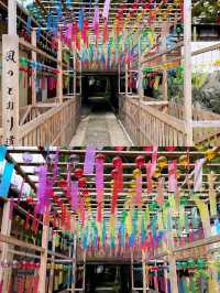 「社寺人気ランキング」で全国1位の神社は名古屋にありました。